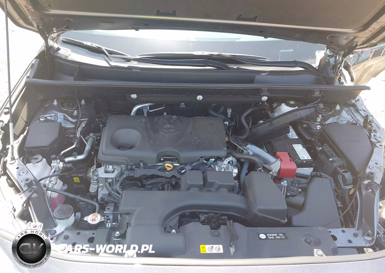 2025 Toyota Rav4 Xle VIN:2T3P1RFV3SC509924 - 10