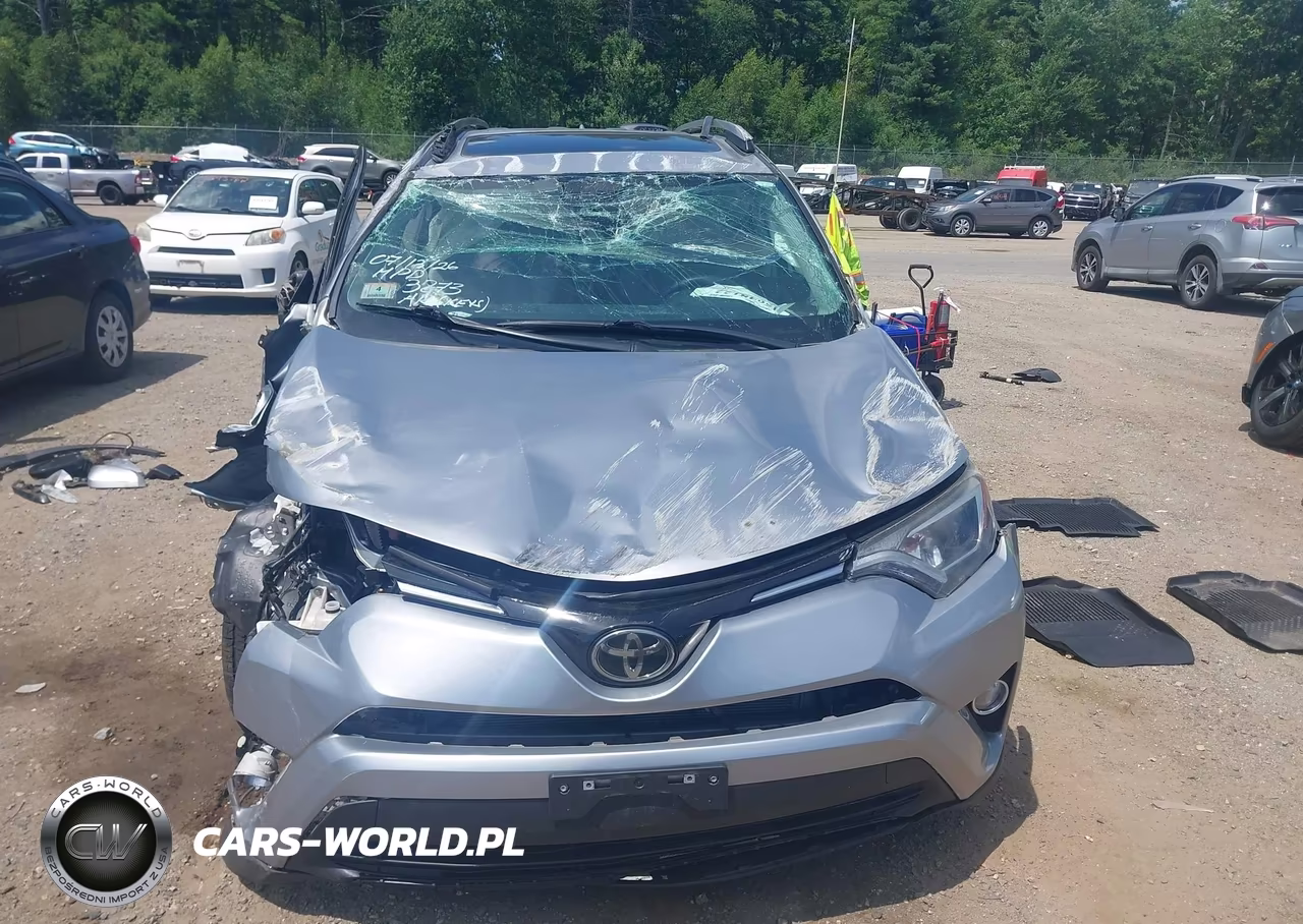 2017 Toyota Rav4 Xle VIN:2T3RFREV3HW633873 - 13