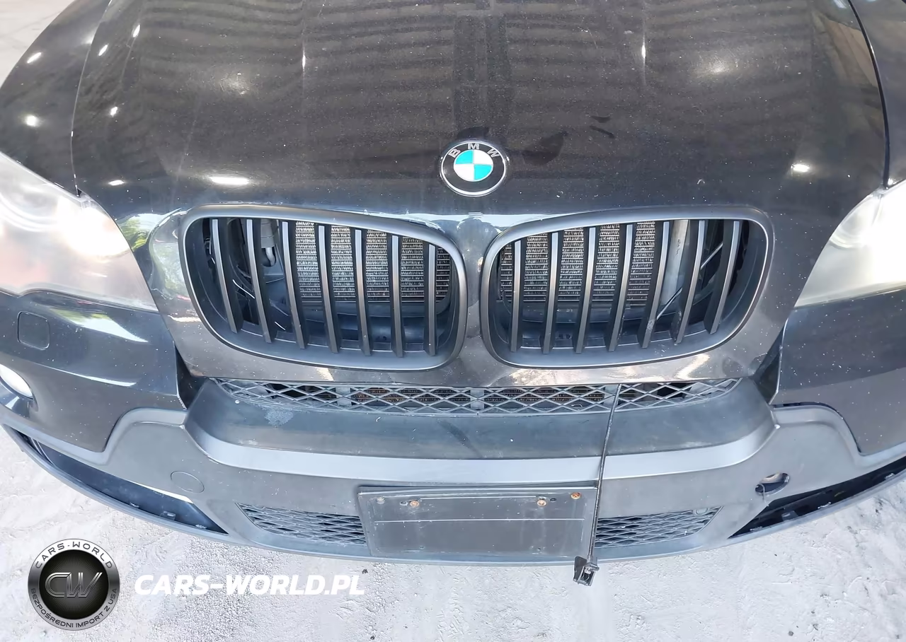 2009 BMW X5 xDrive30I VIN:5UXFE43569L260519 - 10