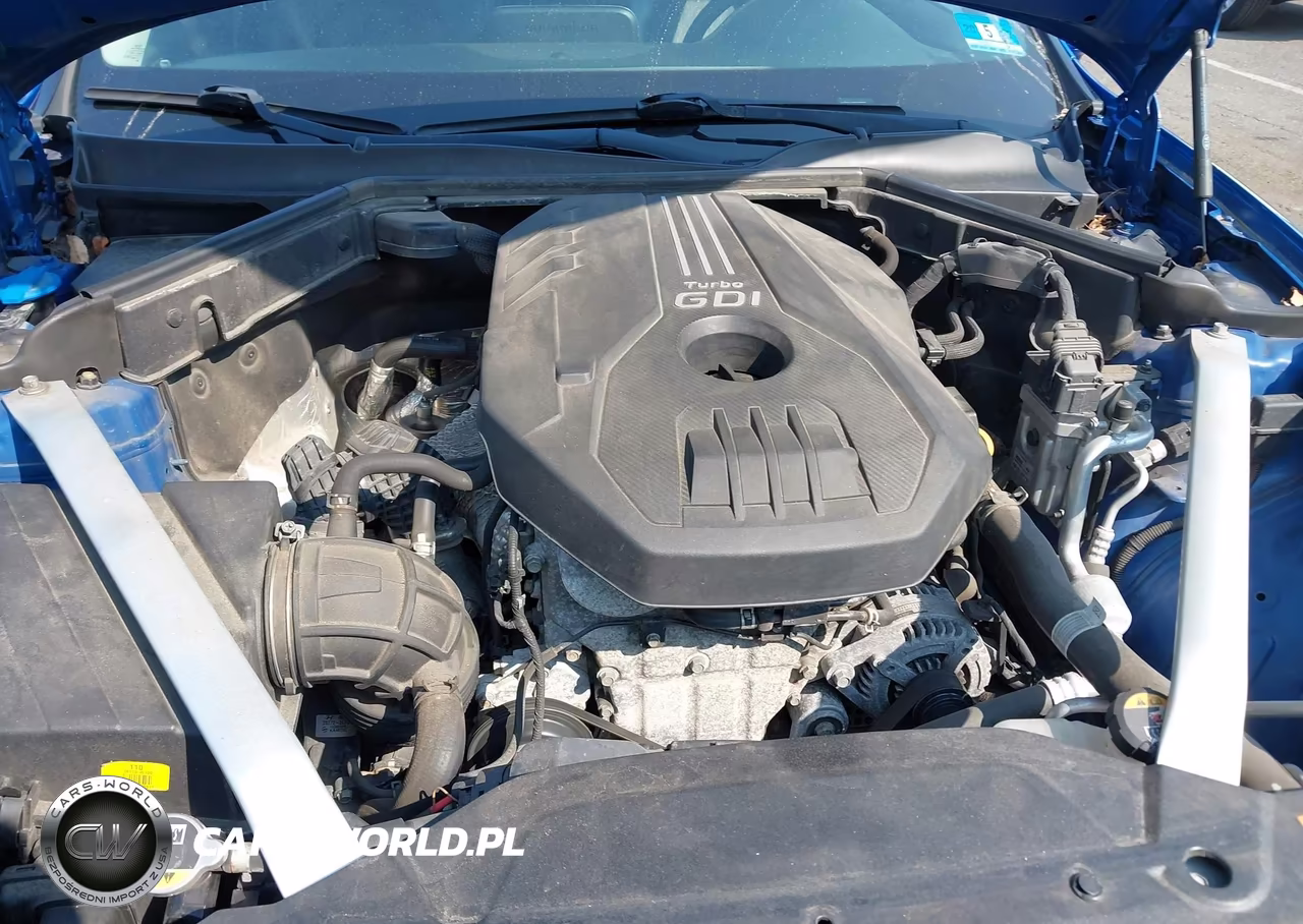 2018 Kia Stinger VIN:KNAE15LA8J6032114 - 10