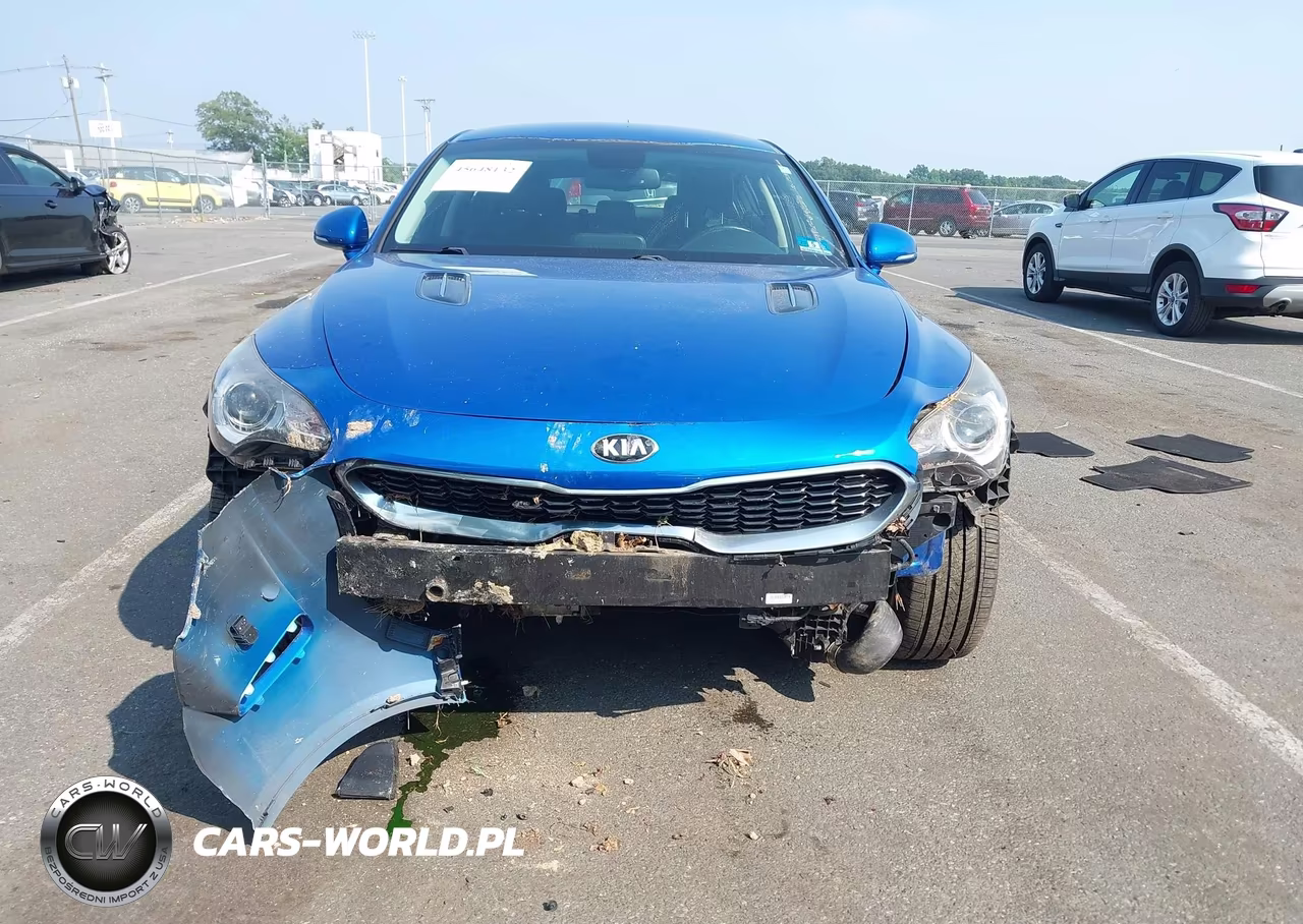 2018 Kia Stinger VIN:KNAE15LA8J6032114 - 12