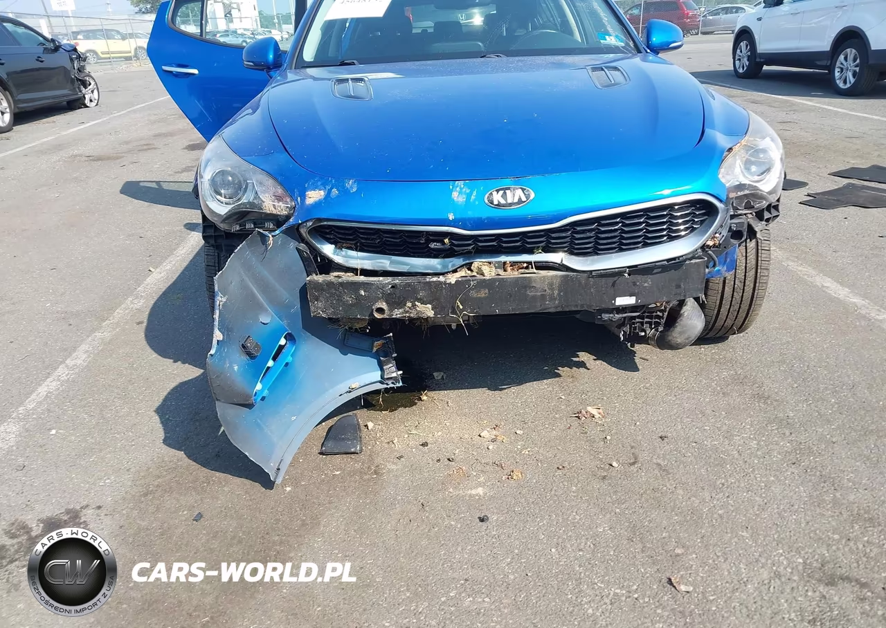 2018 Kia Stinger VIN:KNAE15LA8J6032114 - 6