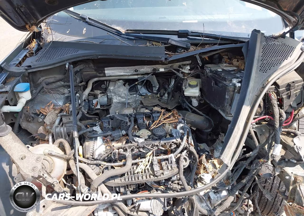 2021 Volkswagen Tiguan 2.0T Se-2.0T Se R-Line Black-2.0T Sel VIN:3VV2B7AX8MM009590 - 10