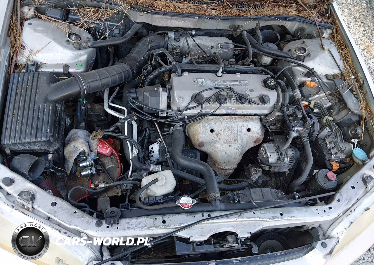 1998 Honda Accord Ex VIN:1HGCG5659WA067242 - 10