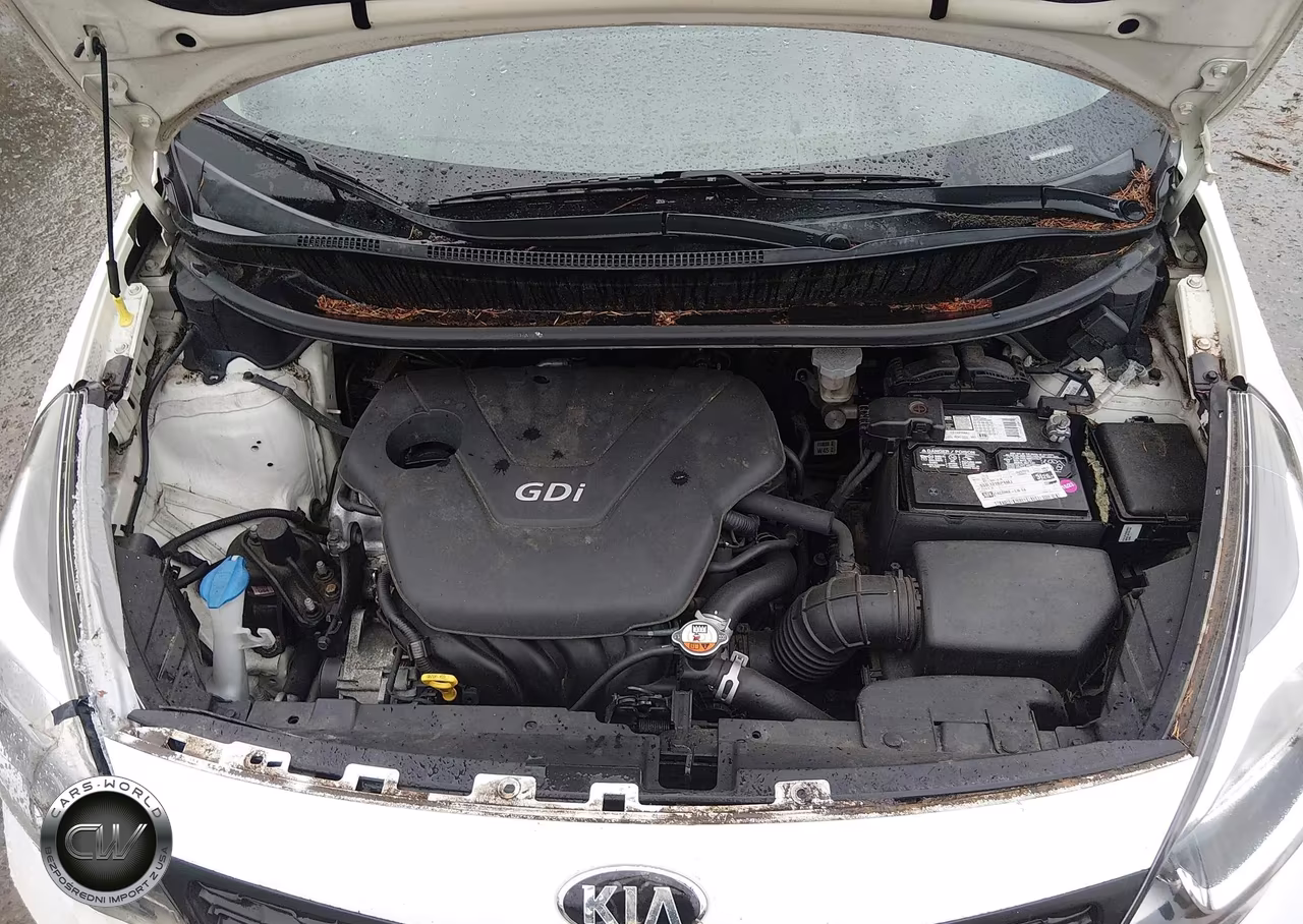 2015 Kia Rio Lx VIN:KNADM4A31F6501083 - 10
