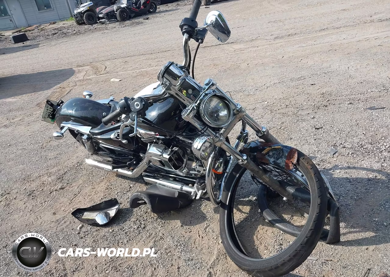 2010 Harley-Davidson Xl1200 C – zdjęcie 1 z 11