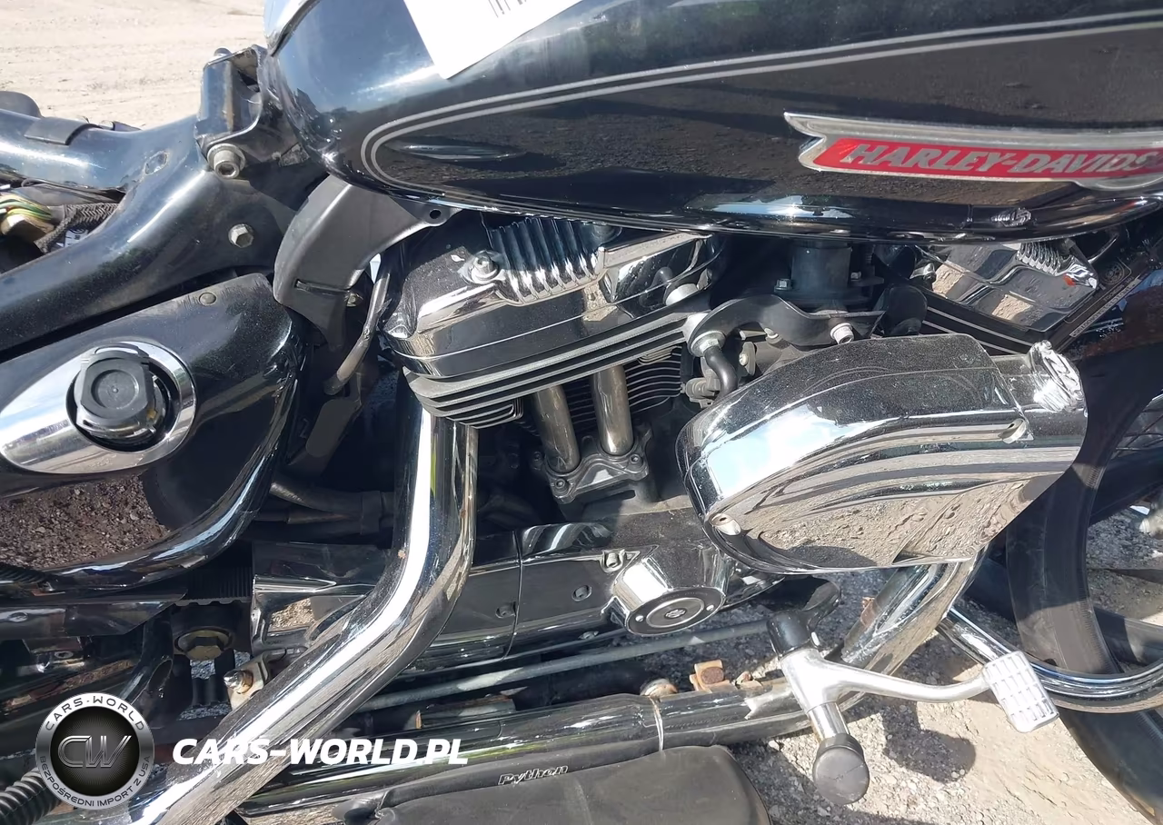 2010 Harley-Davidson Xl1200 C VIN:1HD1CT313AC400795 - 8