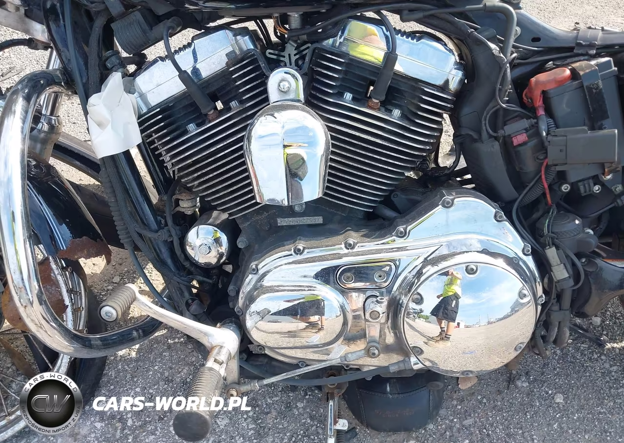 2010 Harley-Davidson Xl1200 C VIN:1HD1CT313AC400795 - 9