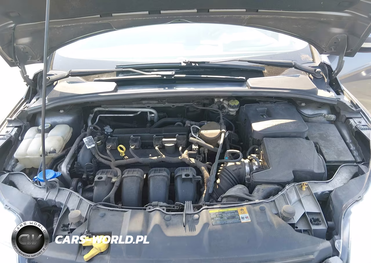 2012 Ford Focus Sel VIN:1FAHP3H20CL180014 - 10