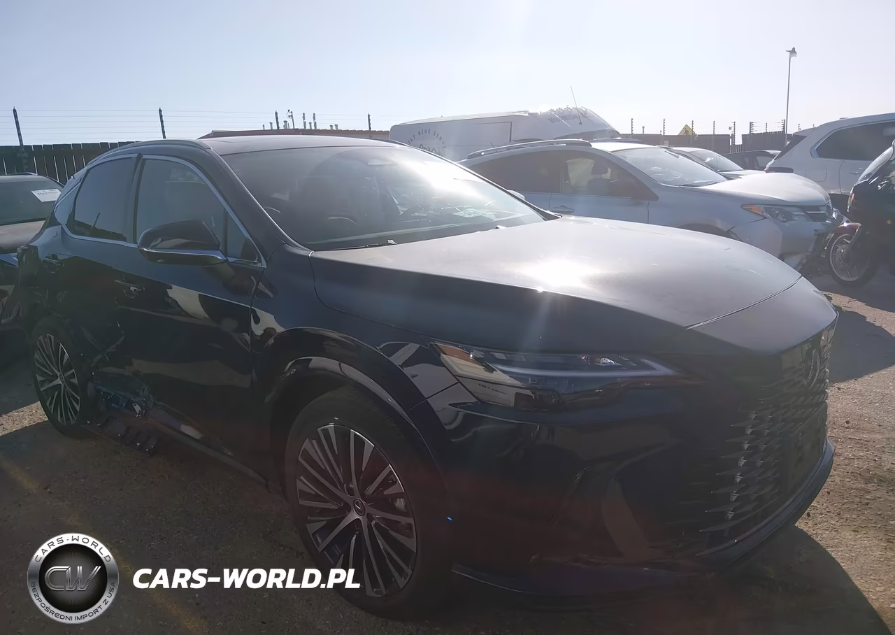 2025 Lexus Rx 350 Premium Plus VIN:2T2BAMCA8SC099396 - 13