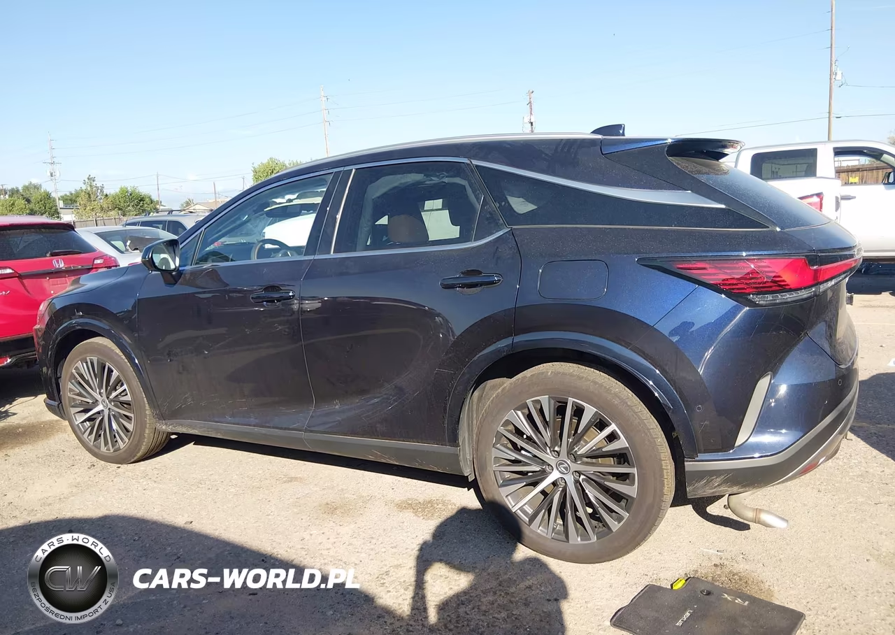 2025 Lexus Rx 350 Premium Plus VIN:2T2BAMCA8SC099396 - 14