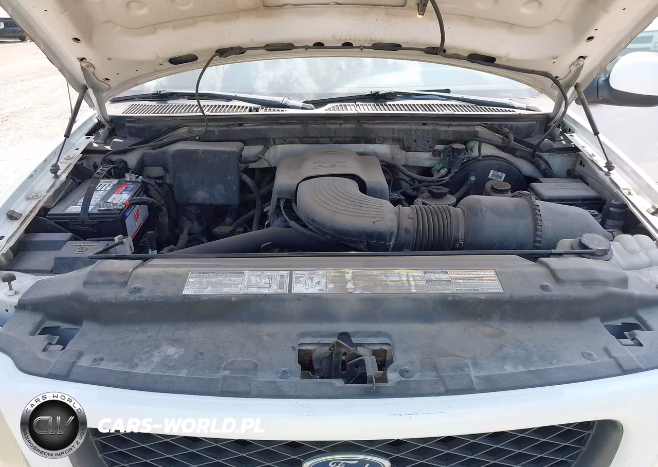 1998 Ford F-150 Lariat-Standard-Xl-Xlt VIN:1FTZX18W7WKB04399 - 10