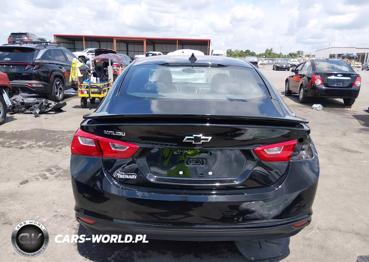 2023 Chevrolet Malibu Fwd Ls VIN:1G1ZB5ST8PF118173 - 17