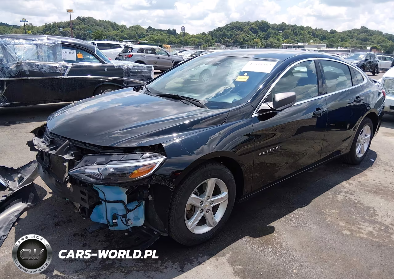 2023 Chevrolet Malibu Fwd Ls VIN:1G1ZB5ST8PF118173 - 2