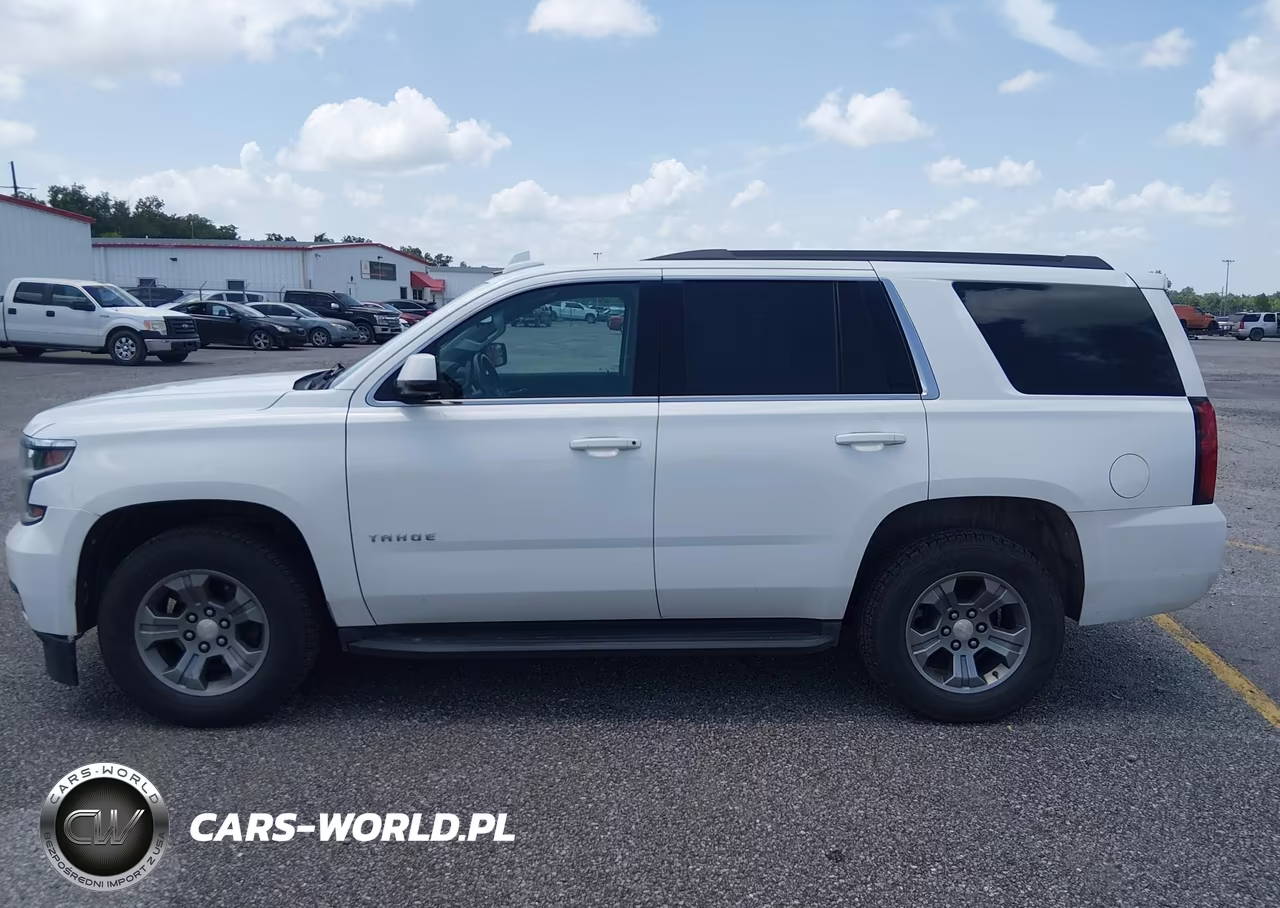 2020 Chevrolet Tahoe 4Wd Ls VIN:1GNSKAECXLR105034 - 17