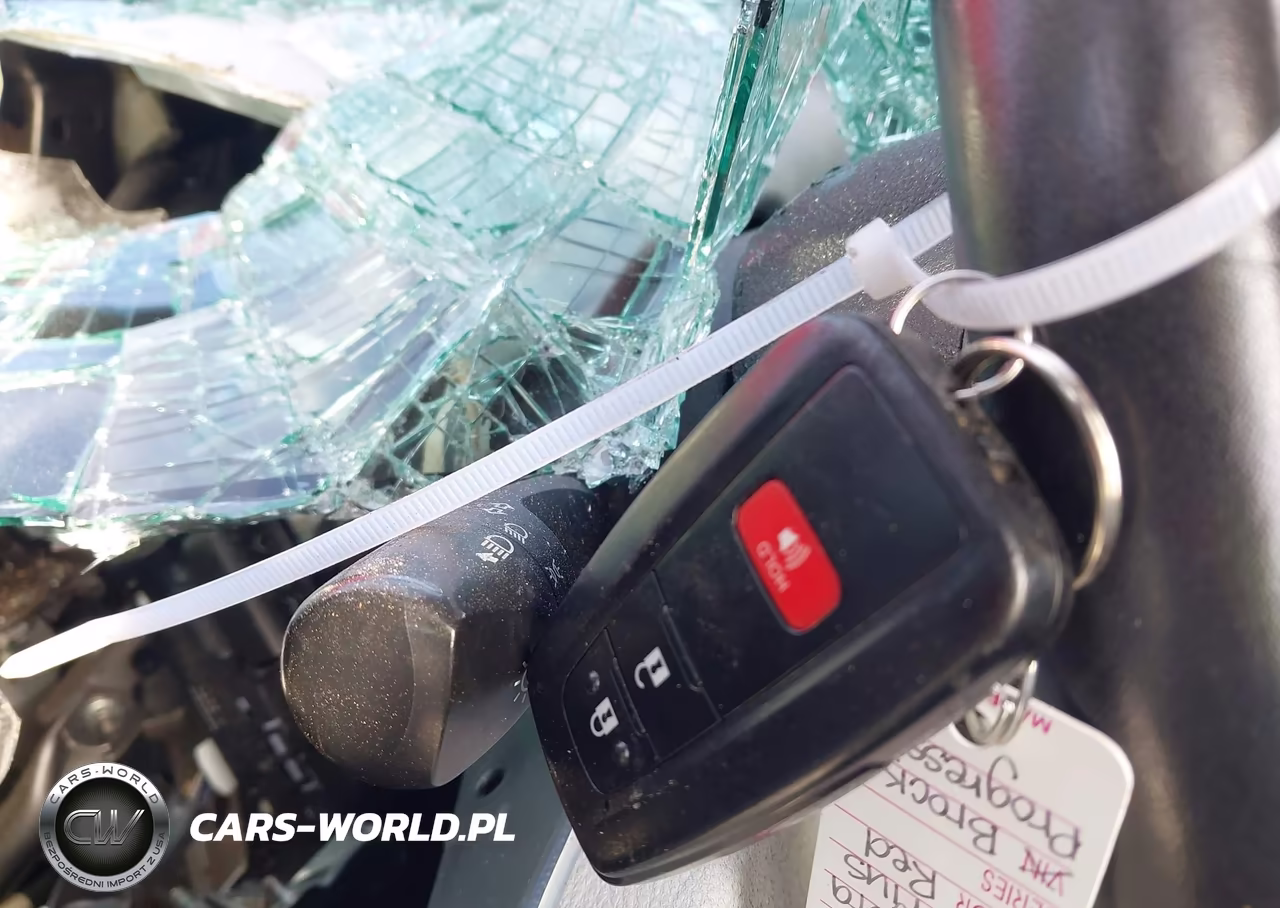 2019 Toyota Prius Xle VIN:JTDKARFU1K3086232 - 11