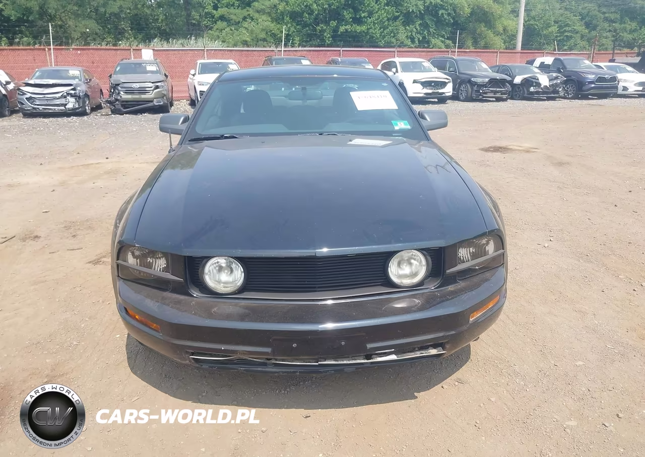 2007 Ford Mustang V6 Deluxe-V6 Premium VIN:1ZVFT80N275235036 - 12