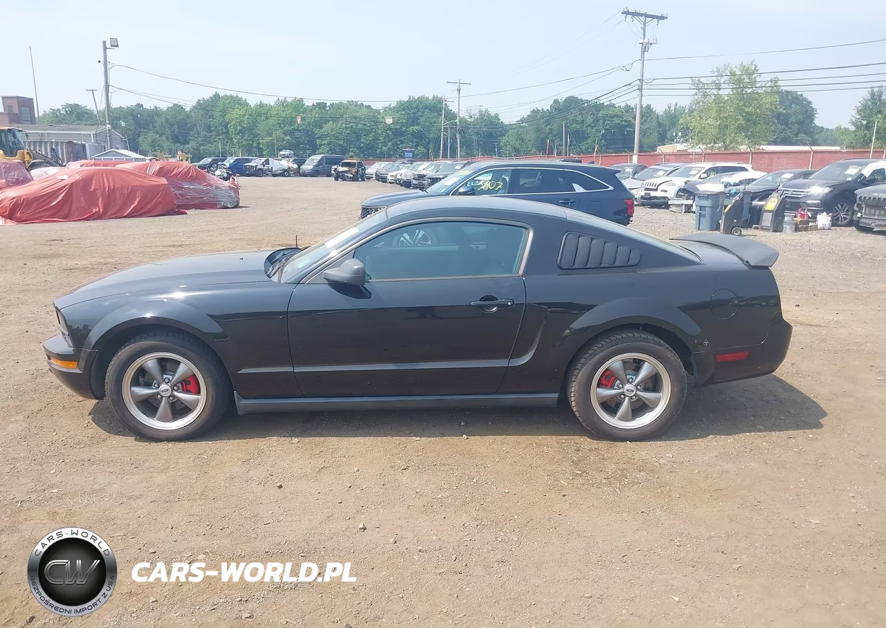 2007 Ford Mustang V6 Deluxe-V6 Premium VIN:1ZVFT80N275235036 - 14