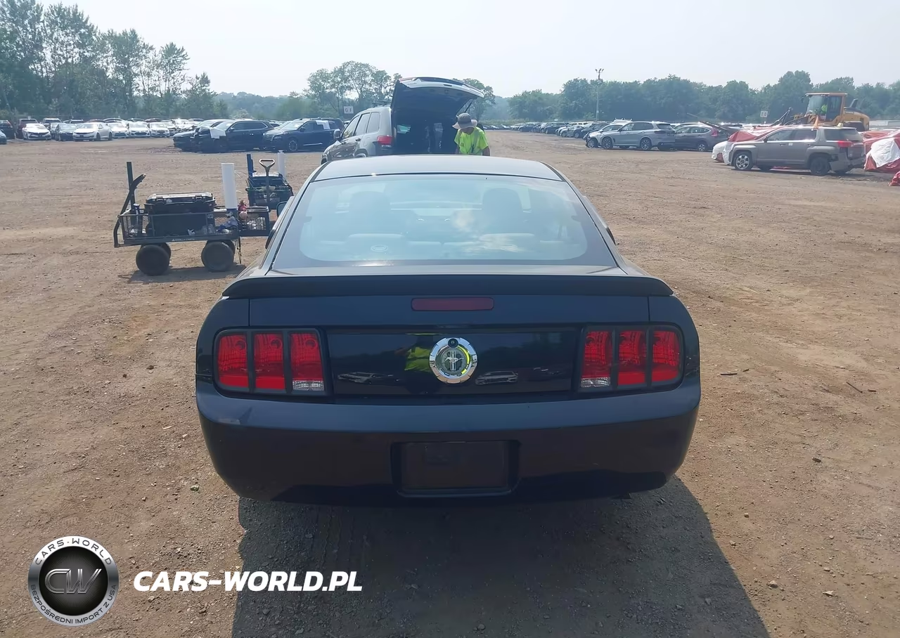 2007 Ford Mustang V6 Deluxe-V6 Premium VIN:1ZVFT80N275235036 - 16