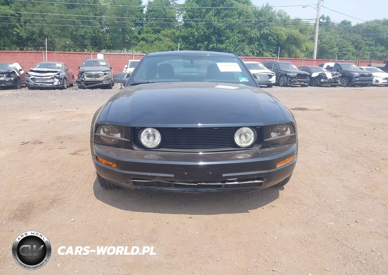 2007 Ford Mustang V6 Deluxe-V6 Premium VIN:1ZVFT80N275235036 - 17