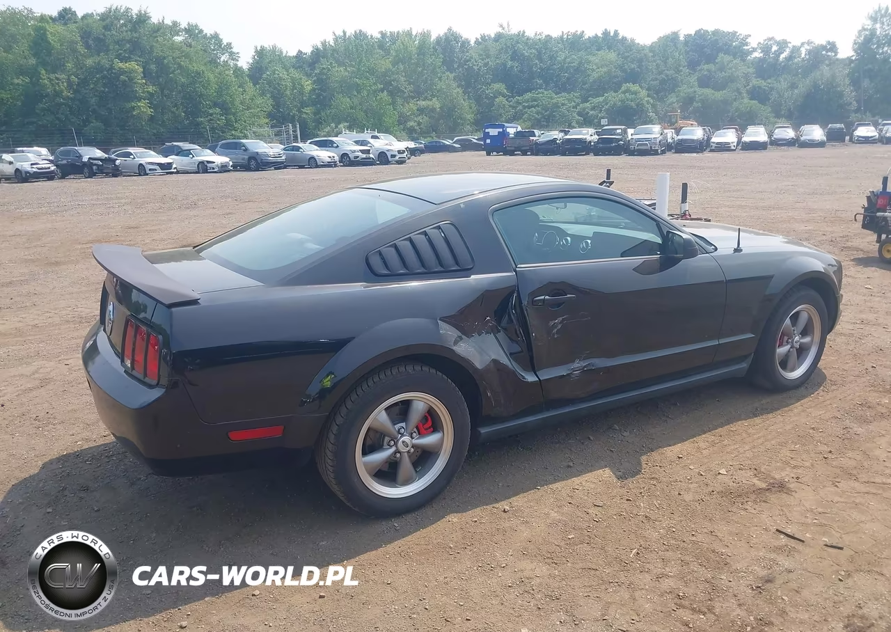 2007 Ford Mustang V6 Deluxe-V6 Premium VIN:1ZVFT80N275235036 - 6