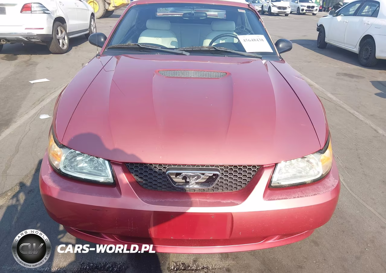 2001 Ford Mustang VIN:1FAFP44421F208847 - 6