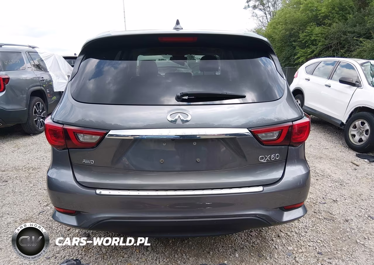 2019 Infiniti Qx60 Luxe VIN:5N1DL0MMXKC517549 - 17