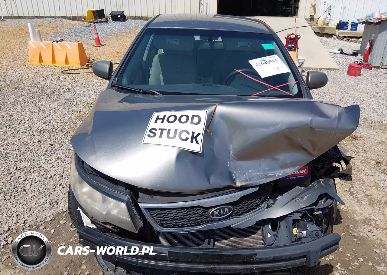 2012 Kia Forte Ex VIN:KNAFU4A28C5617978 - 20