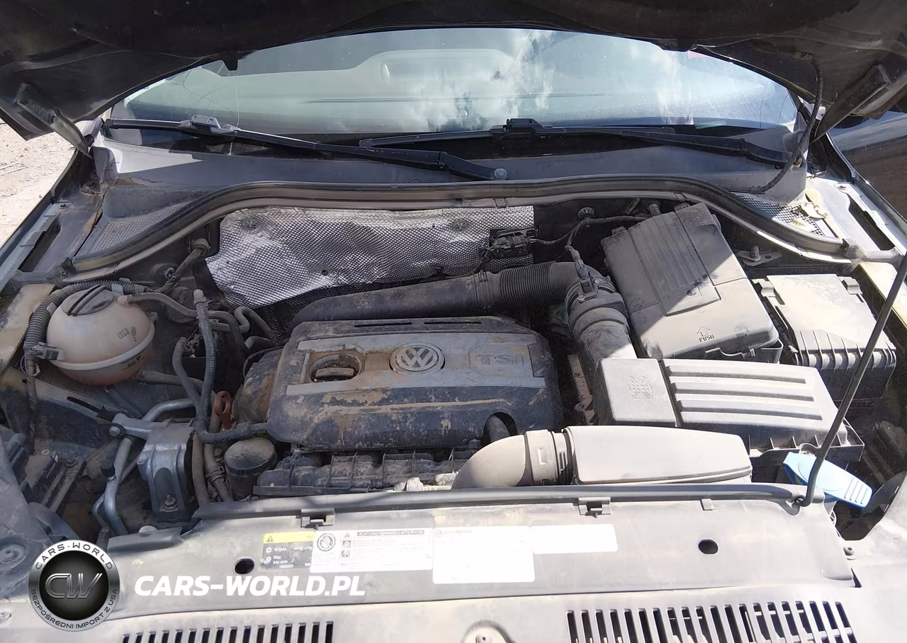 2013 Volkswagen Tiguan S VIN:WVGAV3AX4DW593587 - 10