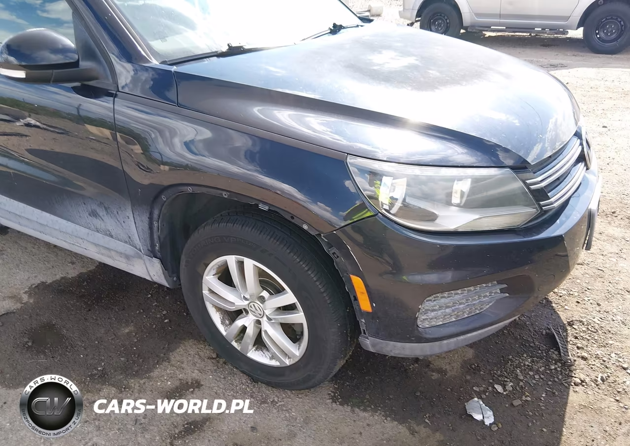 2013 Volkswagen Tiguan S VIN:WVGAV3AX4DW593587 - 6