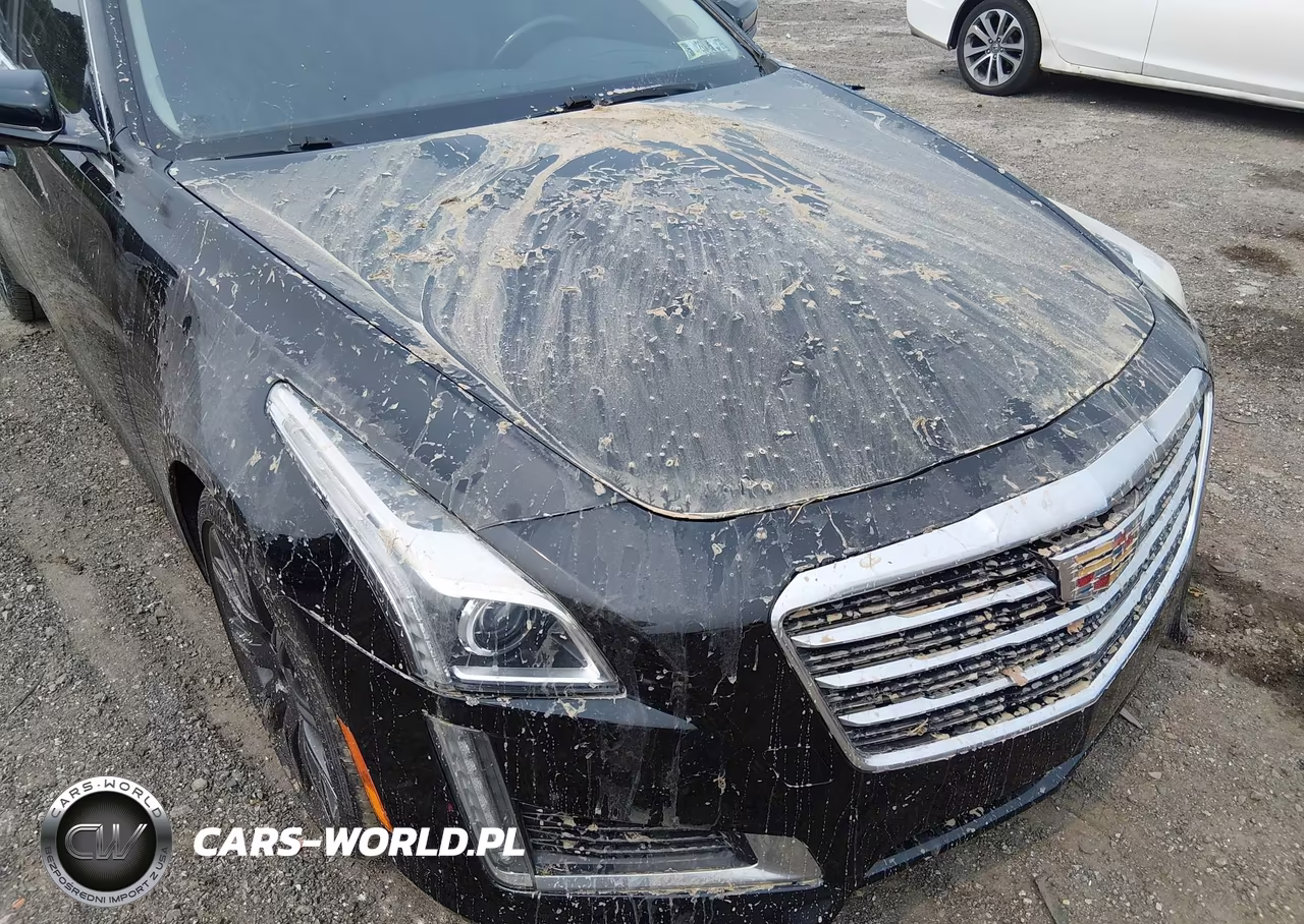 2015 Cadillac Cts Luxury VIN:1G6AX5SX7F0115066 - 6