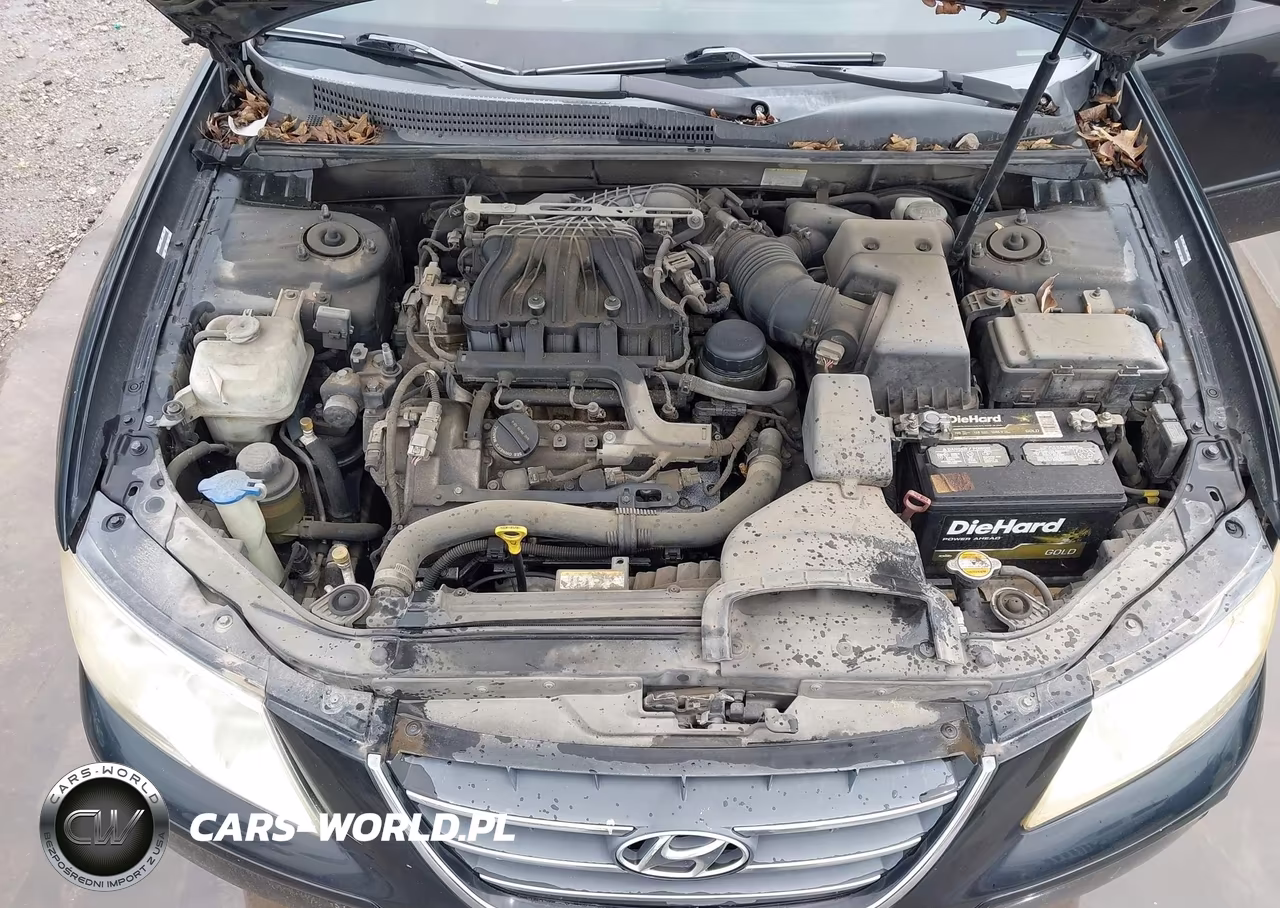 2009 Hyundai Sonata Se V6 VIN:5NPEU46FX9H525225 - 10