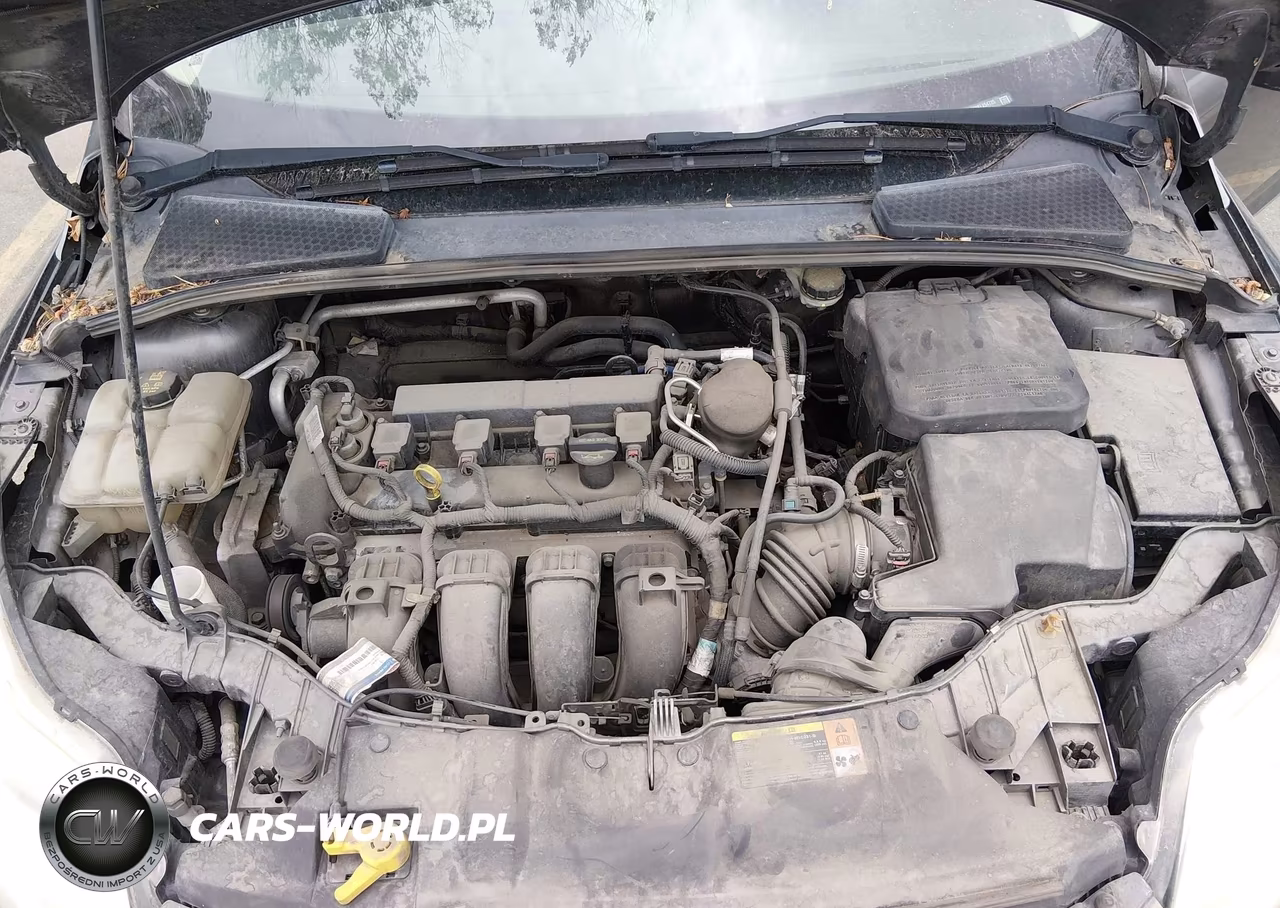 2014 Ford Focus Se VIN:1FADP3F23EL254725 - 10