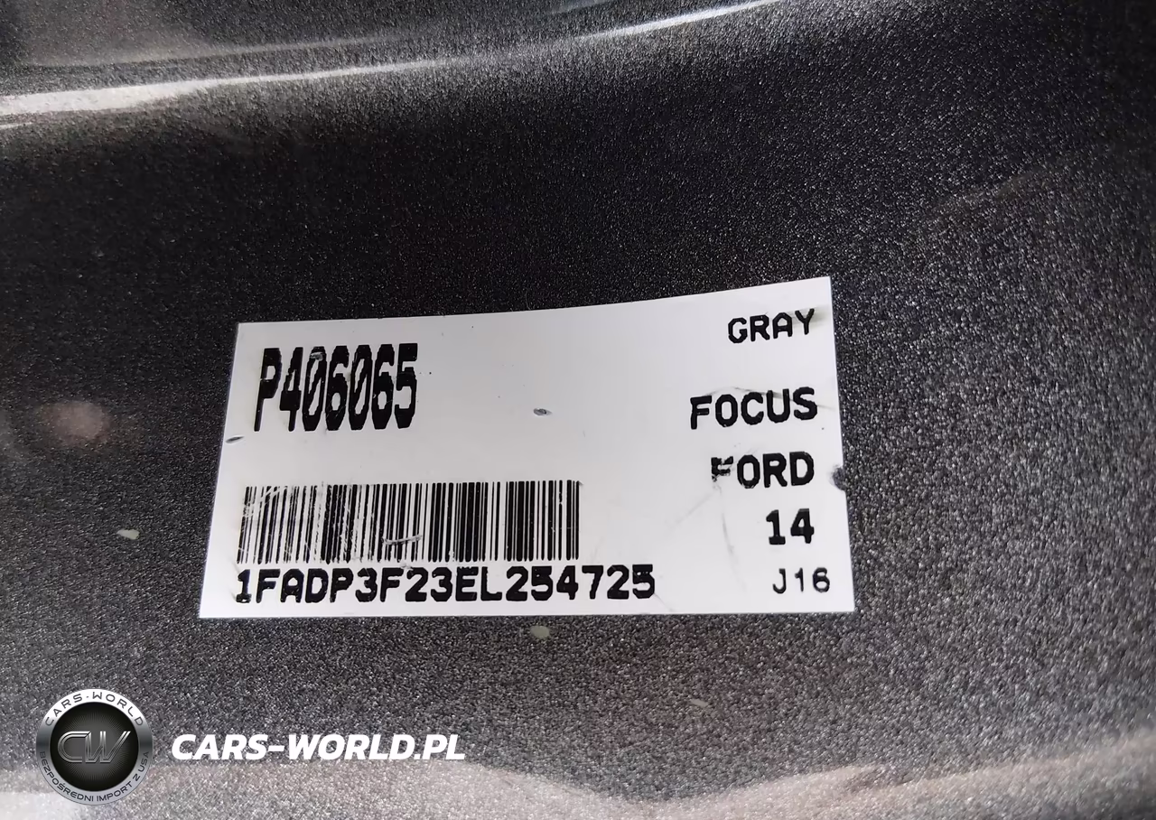 2014 Ford Focus Se VIN:1FADP3F23EL254725 - 9
