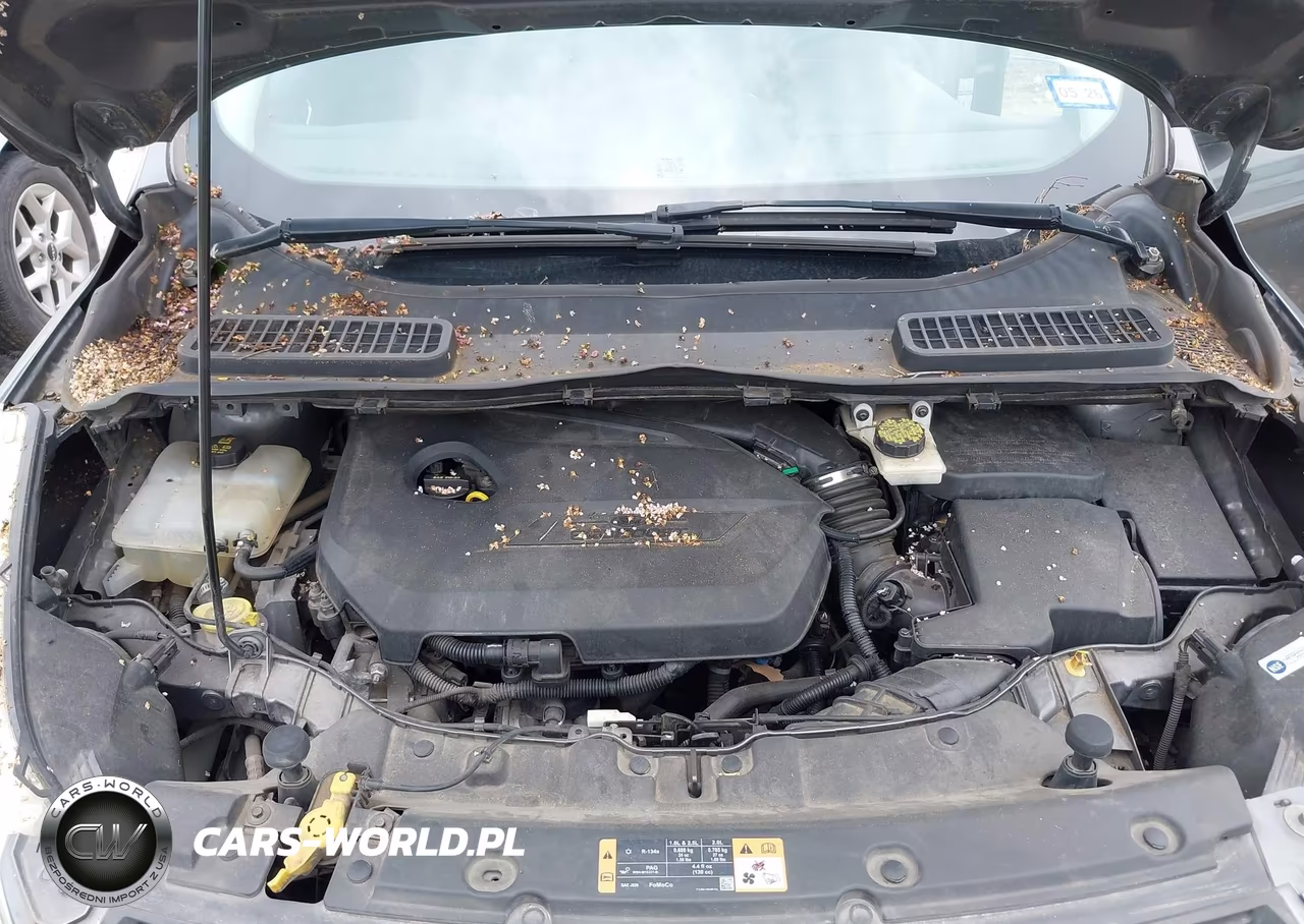 2014 Ford Escape Se VIN:1FMCU0GX4EUB65372 - 10