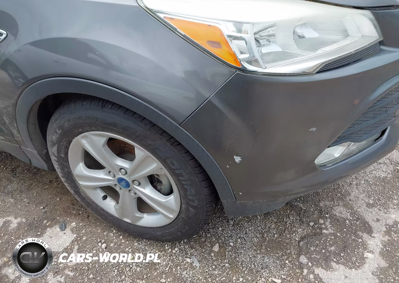 2014 Ford Escape Se VIN:1FMCU0GX4EUB65372 - 12