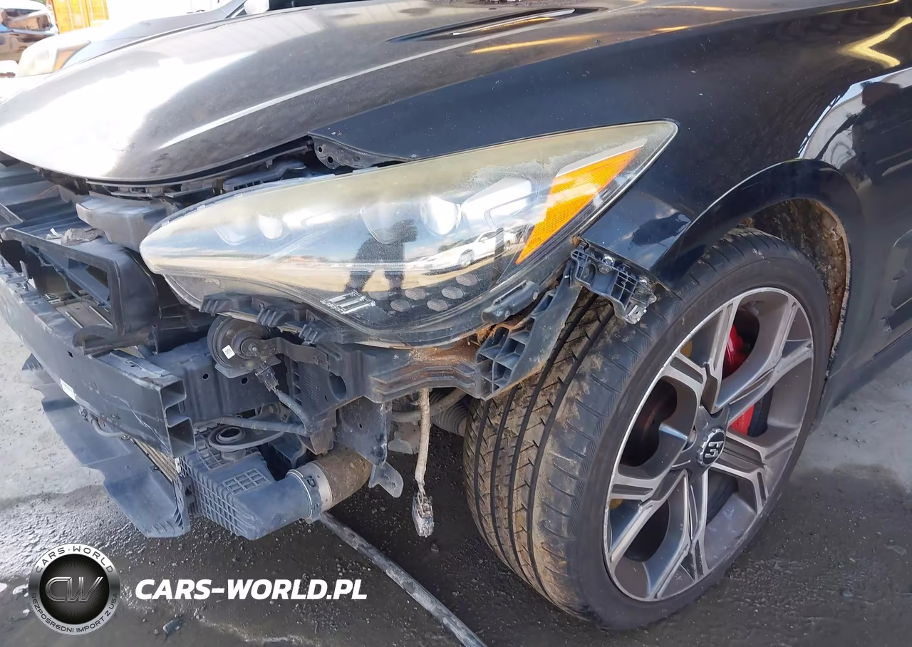 2018 Kia Stinger Gt1 VIN:KNAE45LC6J6012114 - 14
