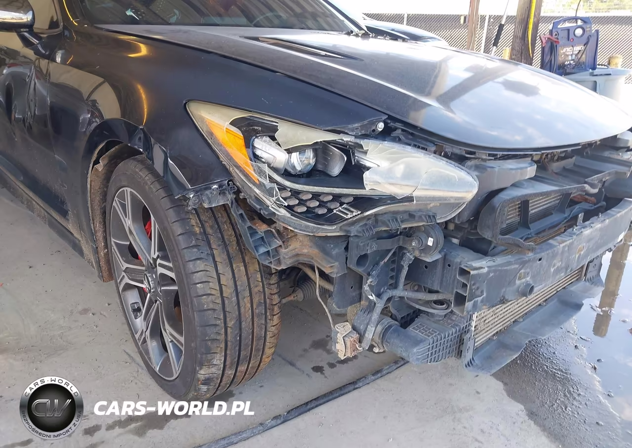 2018 Kia Stinger Gt1 VIN:KNAE45LC6J6012114 - 15