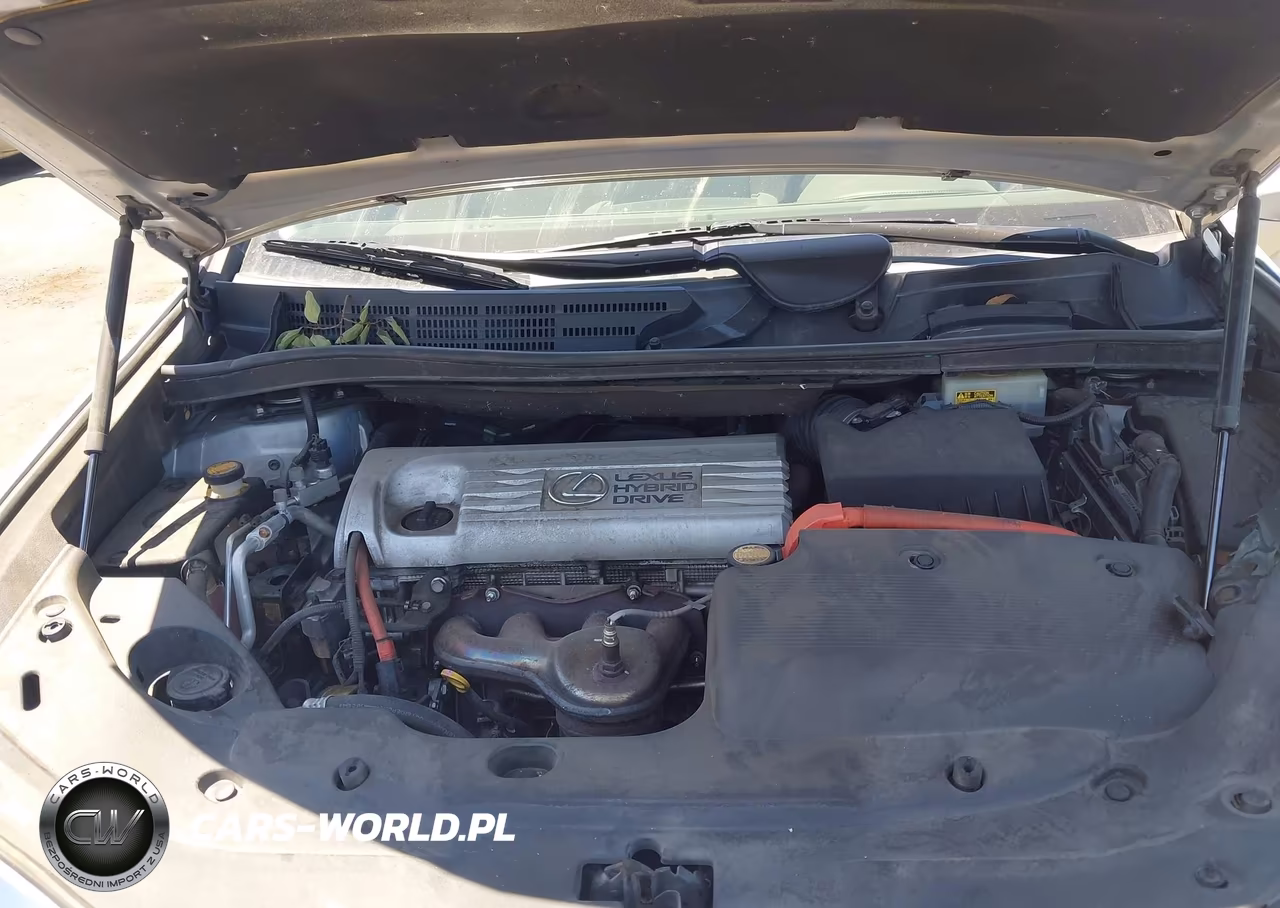 2010 Lexus Hs 250H Premium VIN:JTHBB1BA7A2014612 - 10