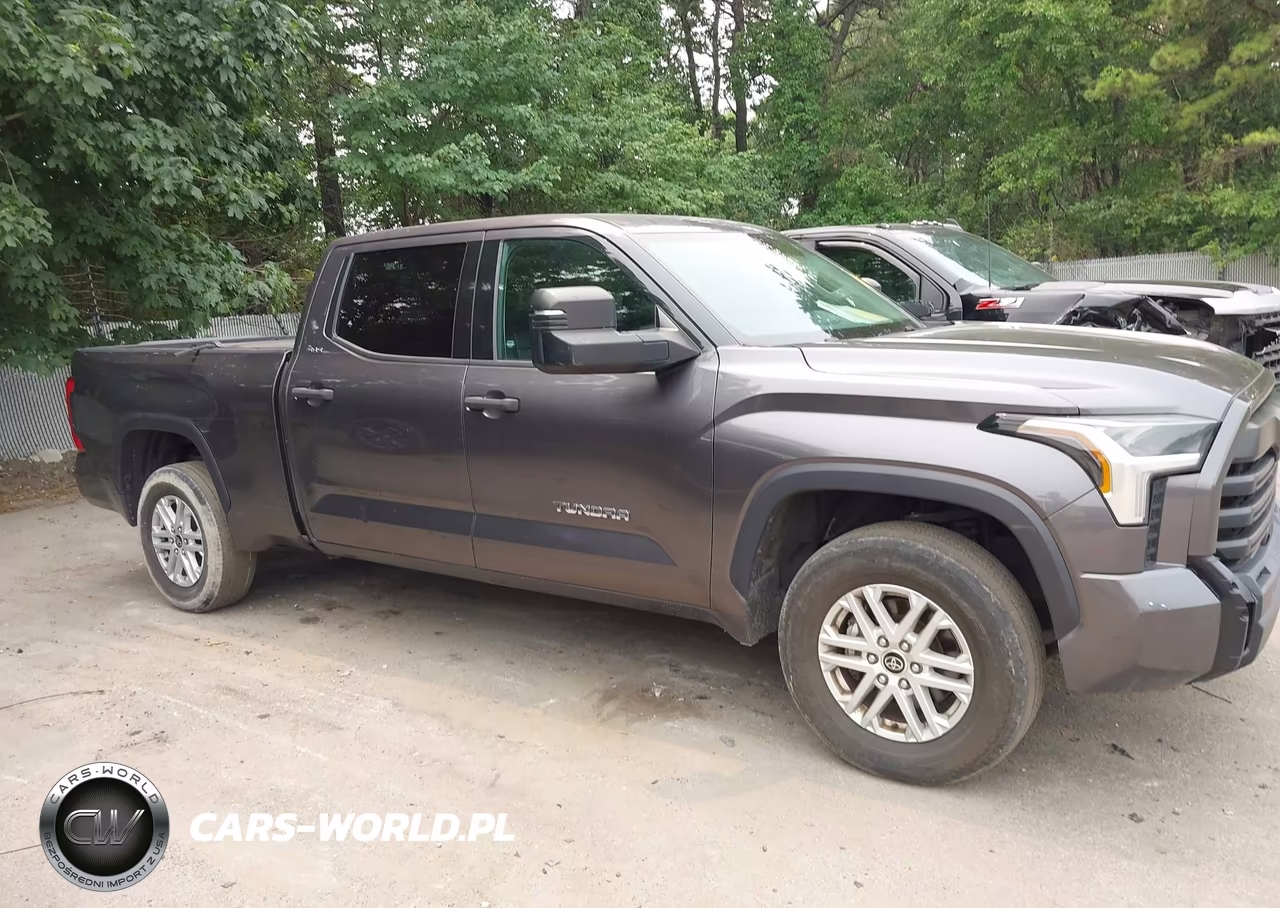 2022 Toyota Tundra Sr5 VIN:5TFLA5EC9NX009160 - 13