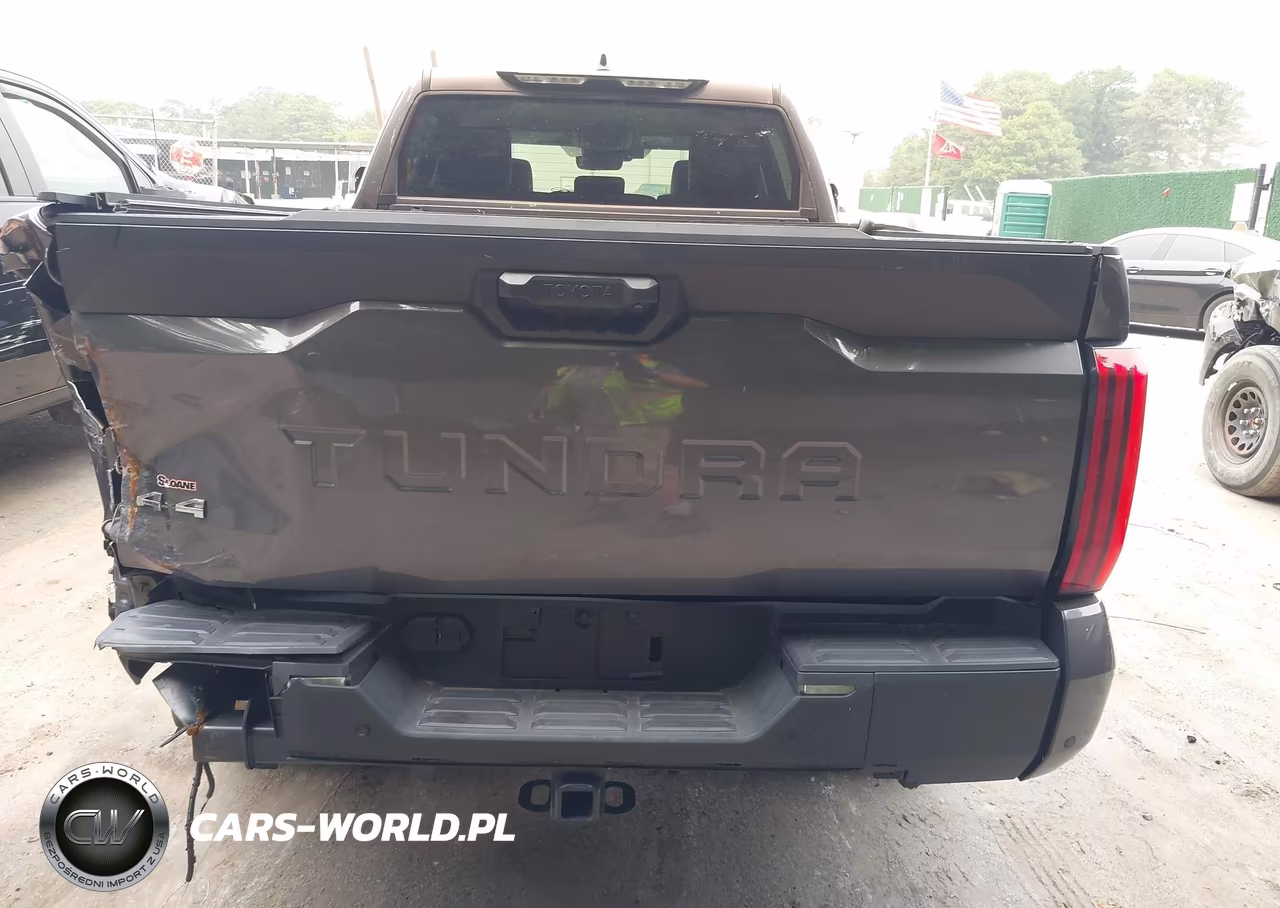 2022 Toyota Tundra Sr5 VIN:5TFLA5EC9NX009160 - 16