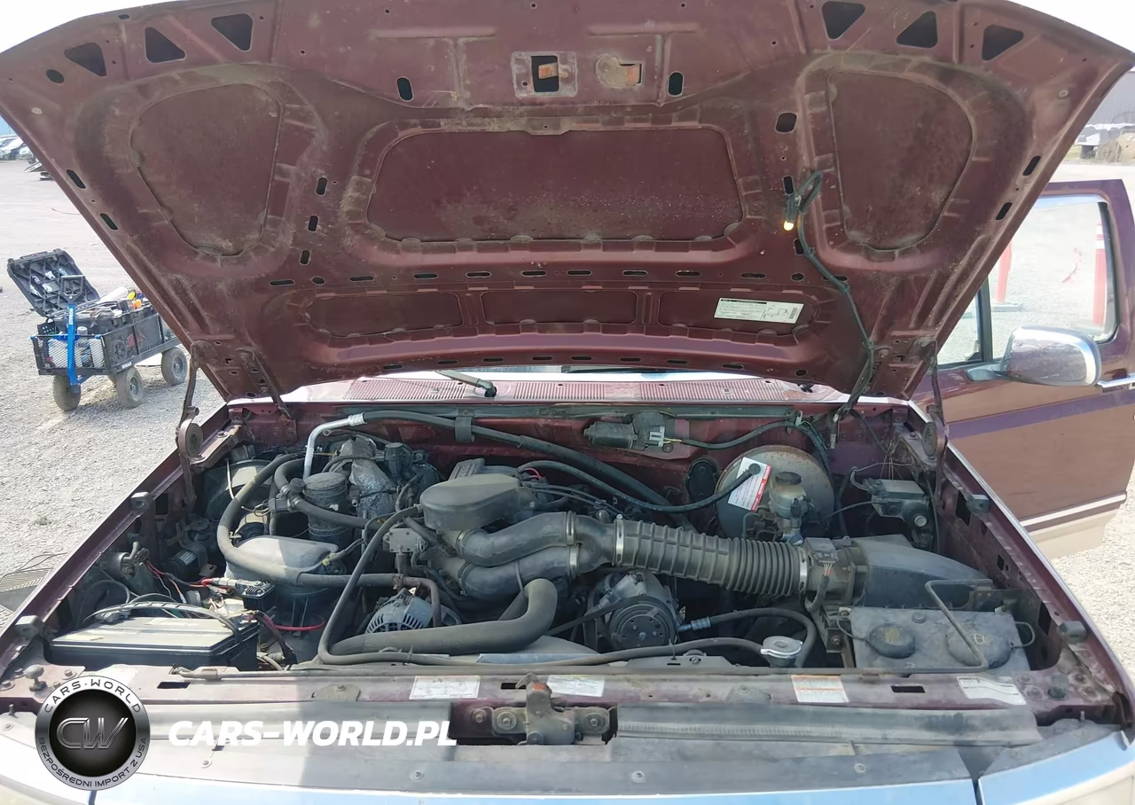 1996 Ford F150 VIN:1FTEX14H7TKA38499 - 10