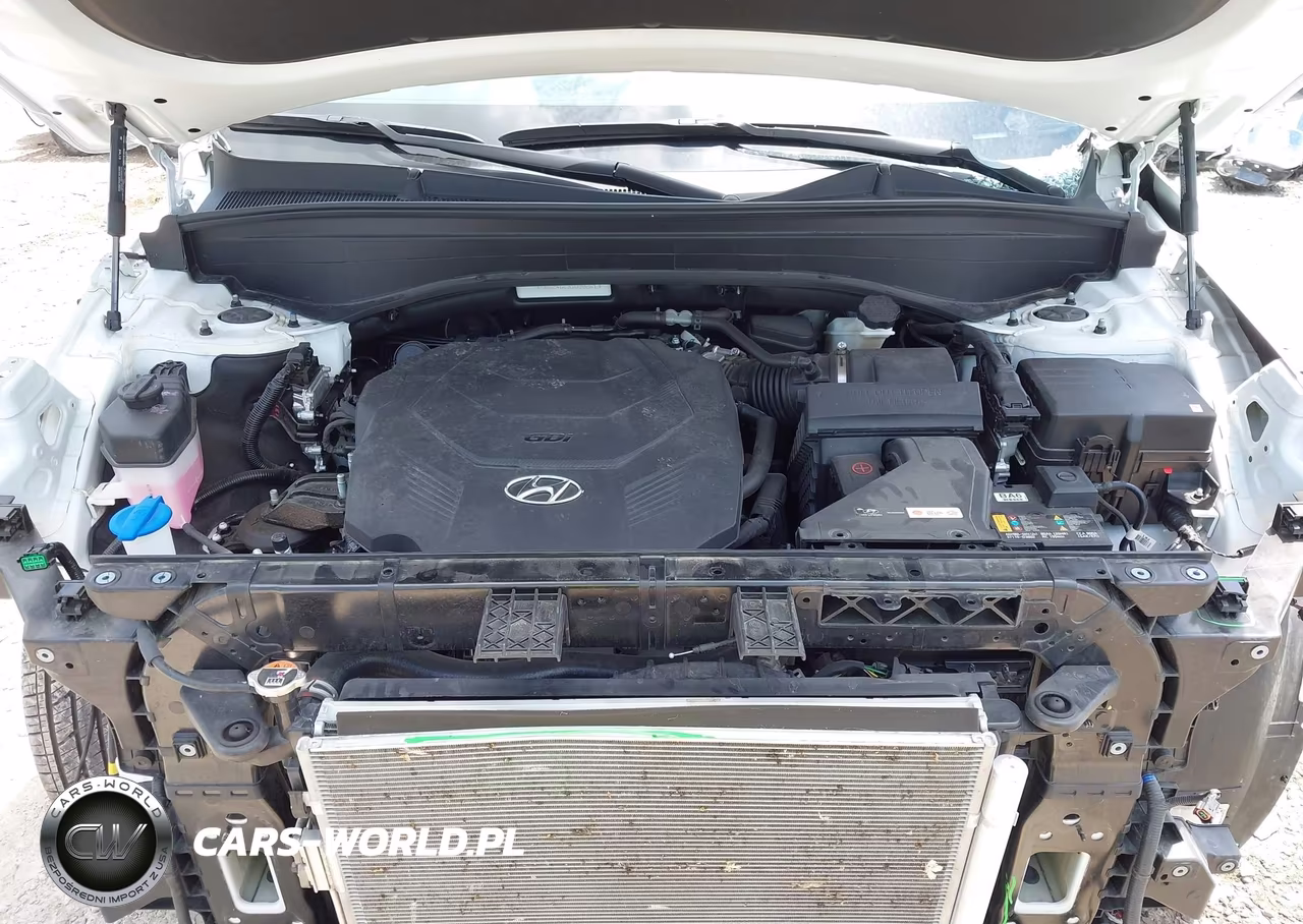 2025 Hyundai Palisade Sel VIN:KM8R24GE3SU902613 - 10