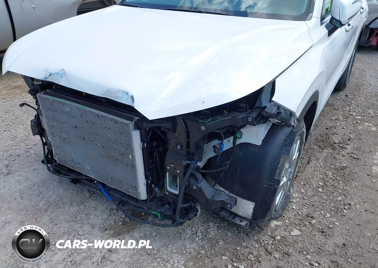 2025 Hyundai Palisade Sel VIN:KM8R24GE3SU902613 - 12
