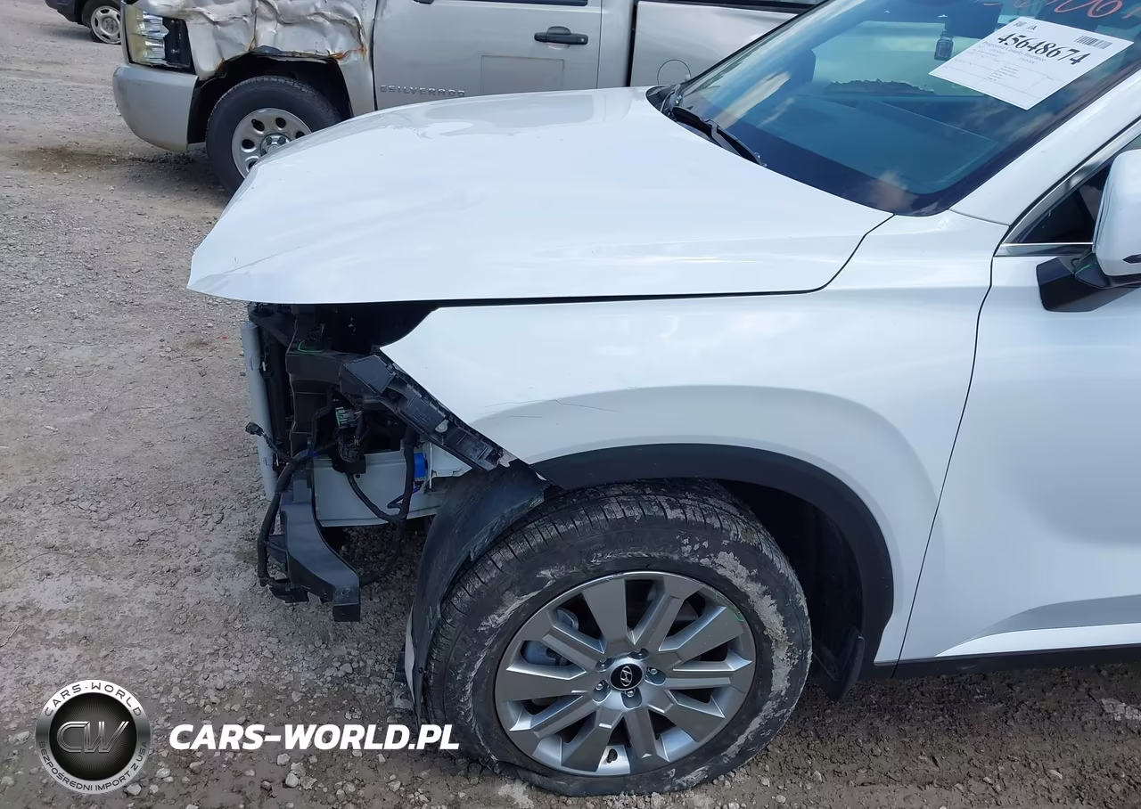 2025 Hyundai Palisade Sel VIN:KM8R24GE3SU902613 - 18