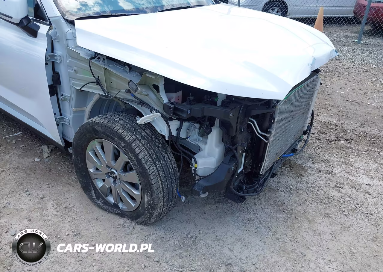 2025 Hyundai Palisade Sel VIN:KM8R24GE3SU902613 - 20