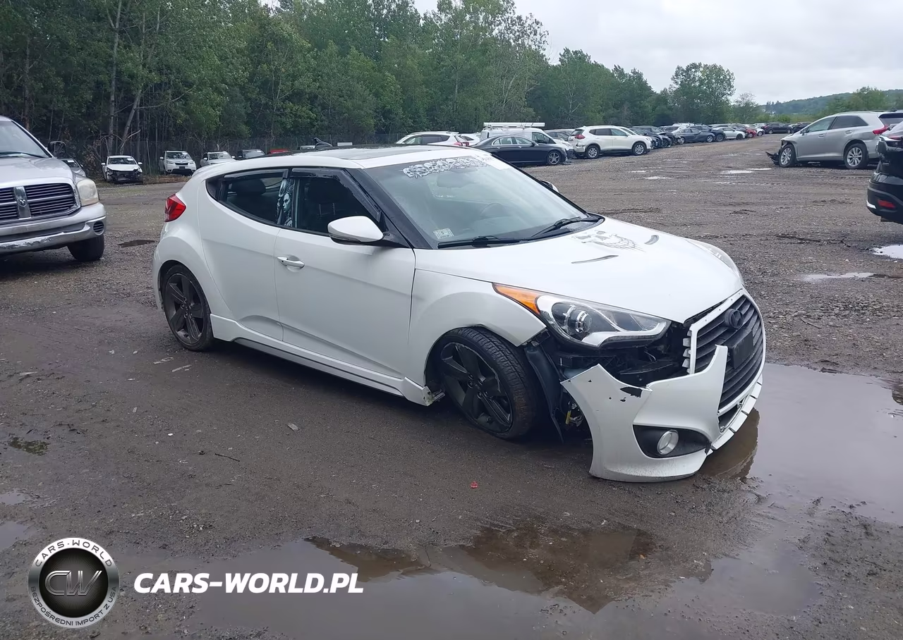 2014 Hyundai Veloster Turbo W-Blue