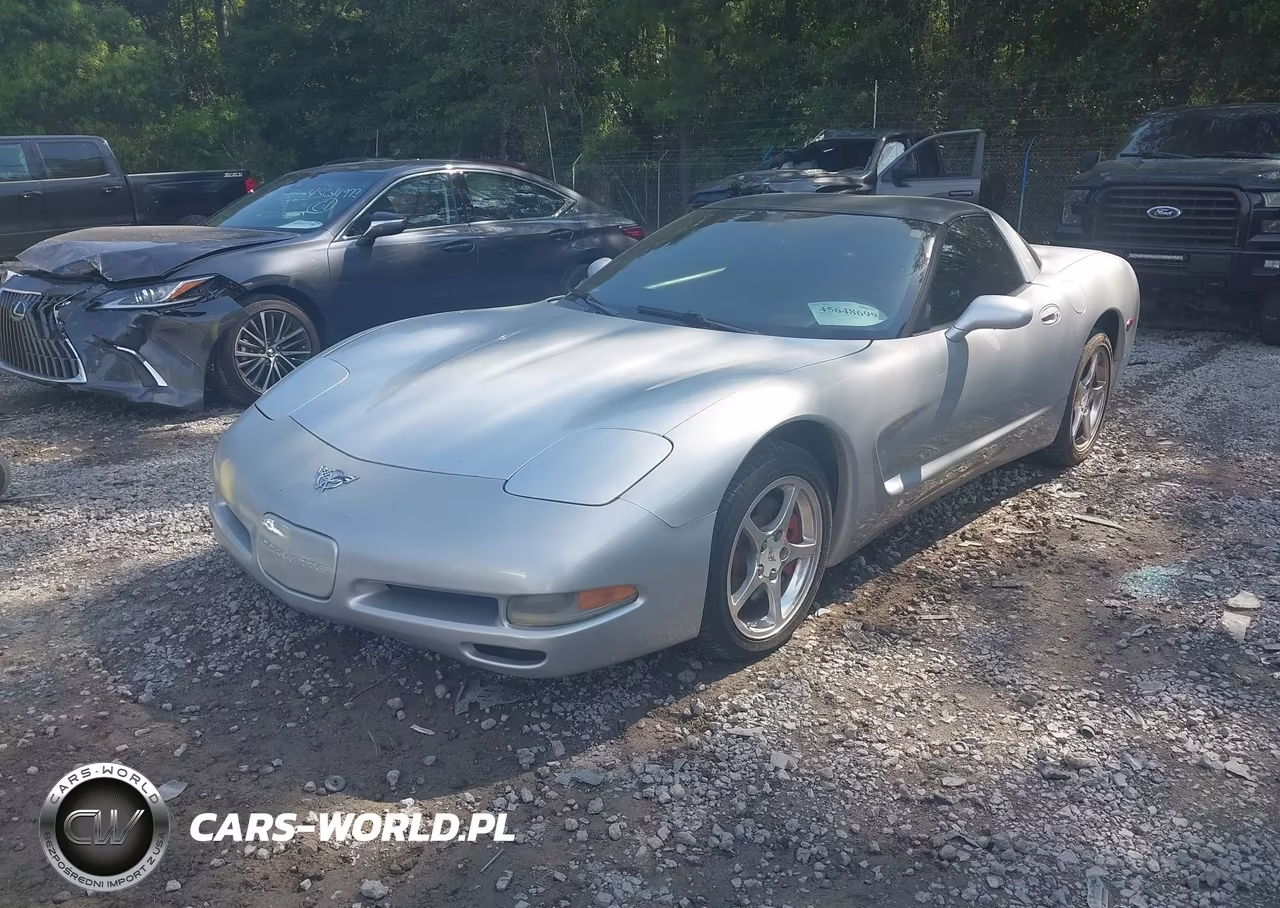 2002 Chevrolet Corvette VIN:1G1YY22G925105345 - 2