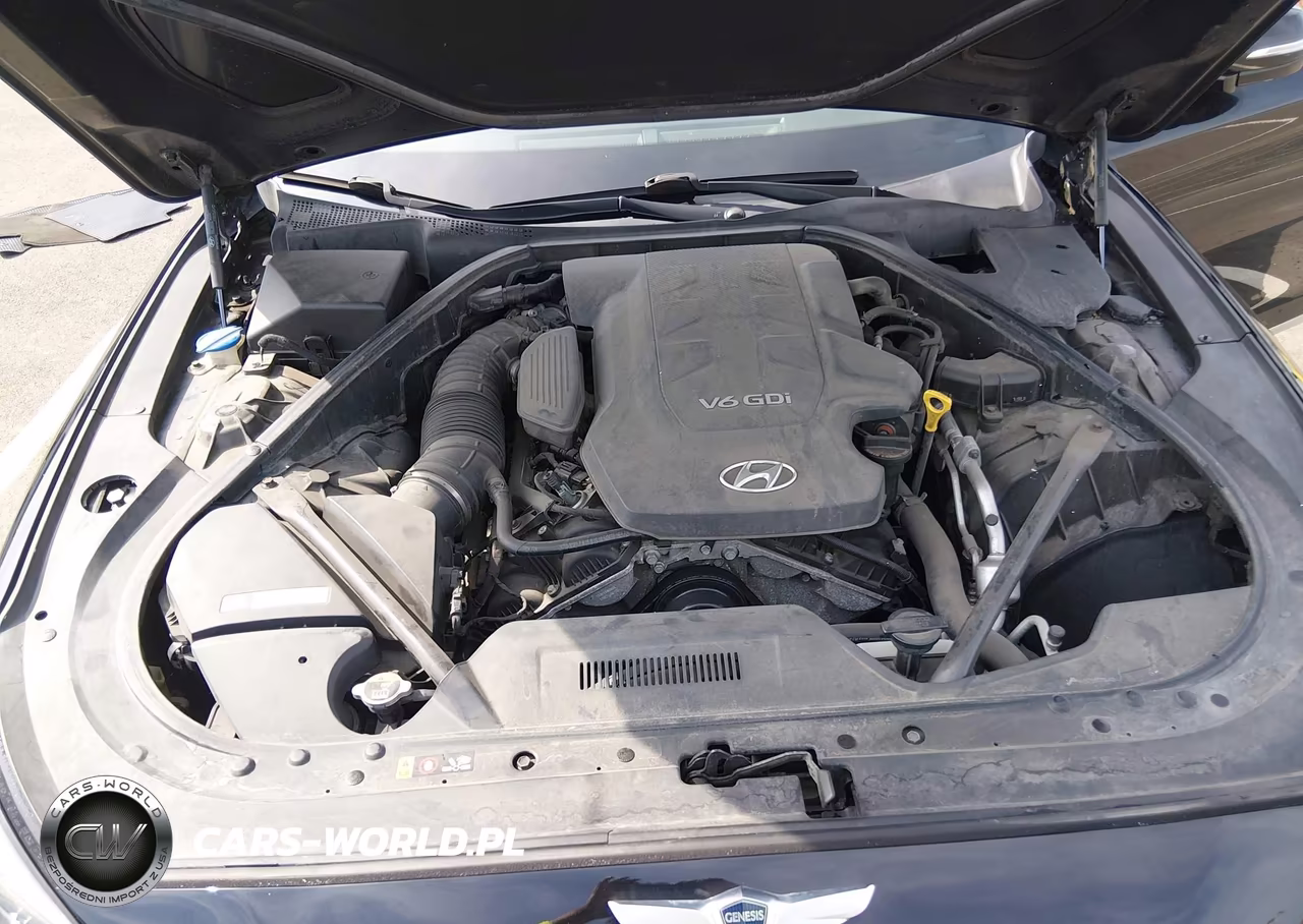 2016 Hyundai Genesis 3.8 VIN:KMHGN4JE6GU107828 - 10