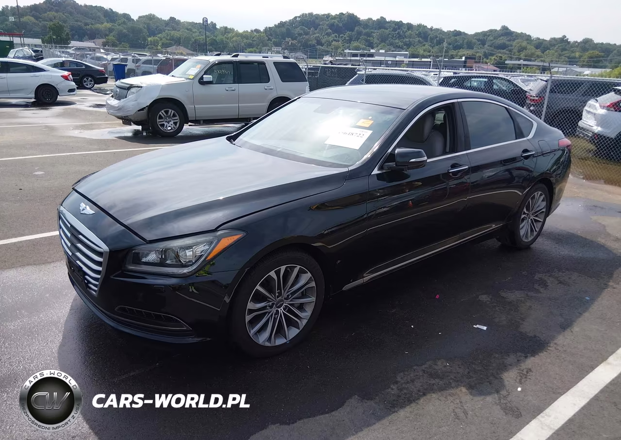 2016 Hyundai Genesis 3.8 VIN:KMHGN4JE6GU107828 - 2